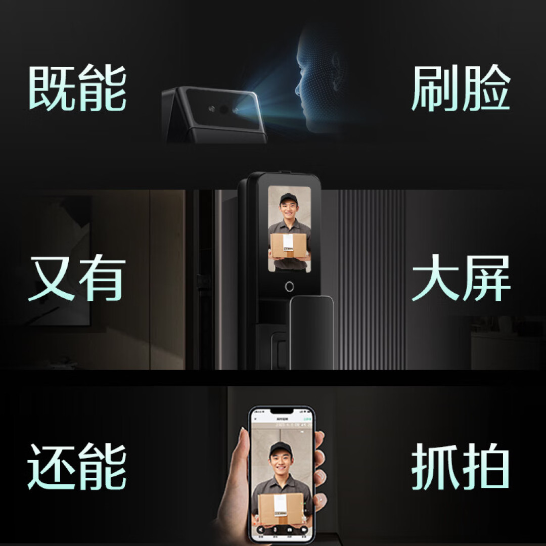 Dechambe Dasheng Q5F Pro smart lock