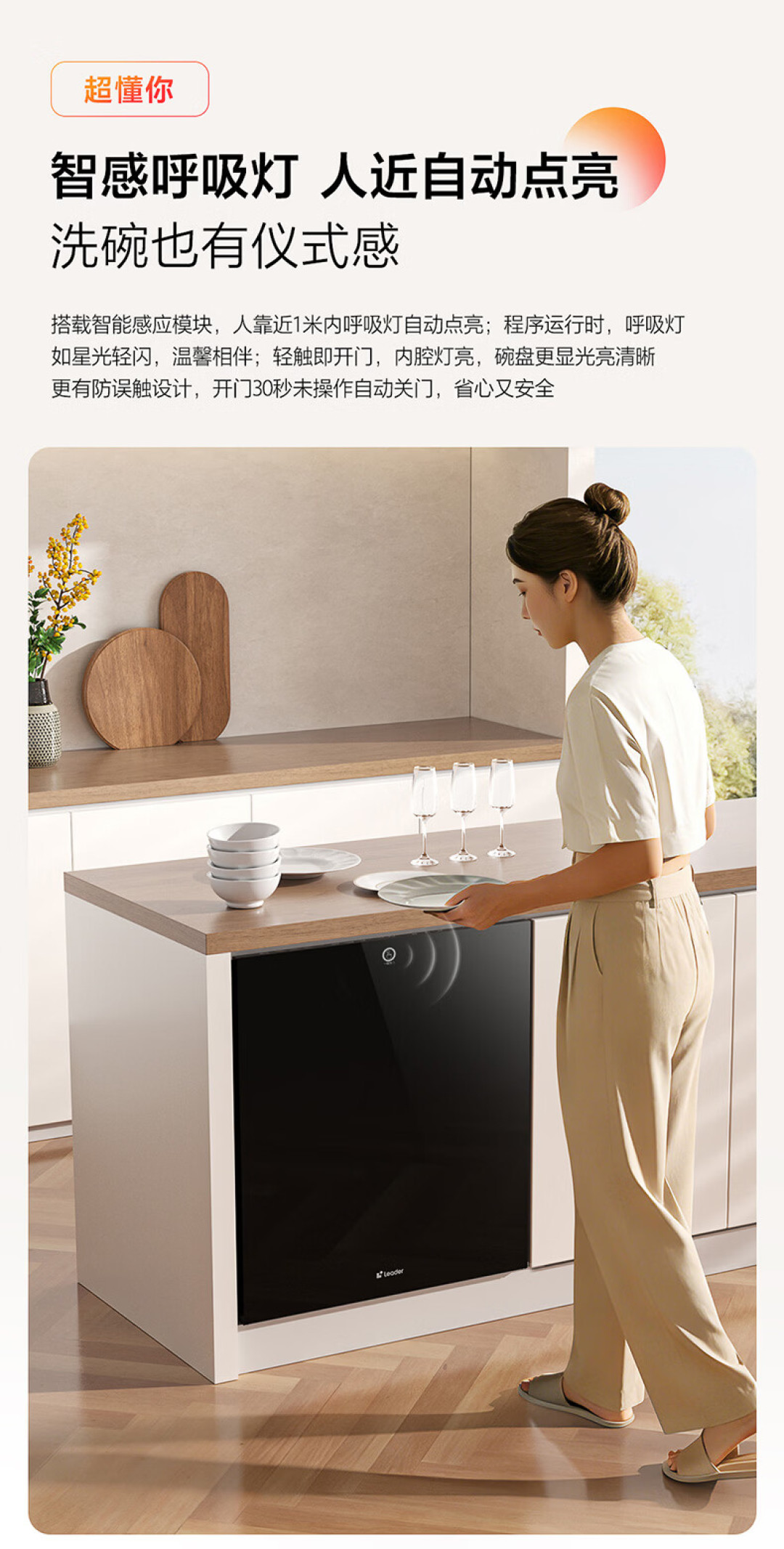Leader Lazy V1Y 20-place dishwasher