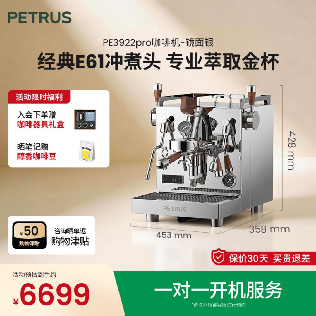 The PE3366's group head, portafilter and steam wand