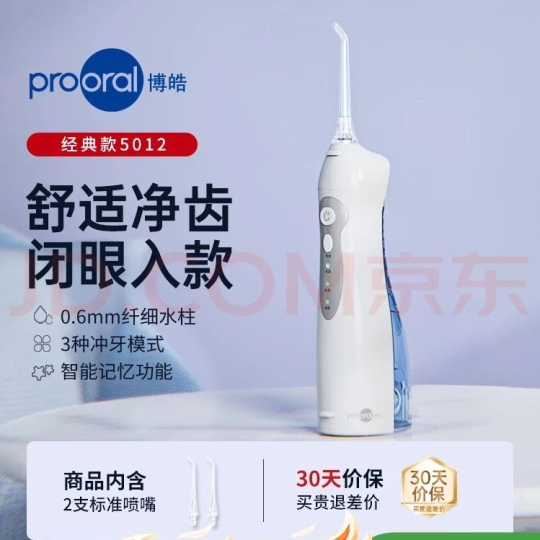 Waterpik GS5-1 Aurora portable flosser